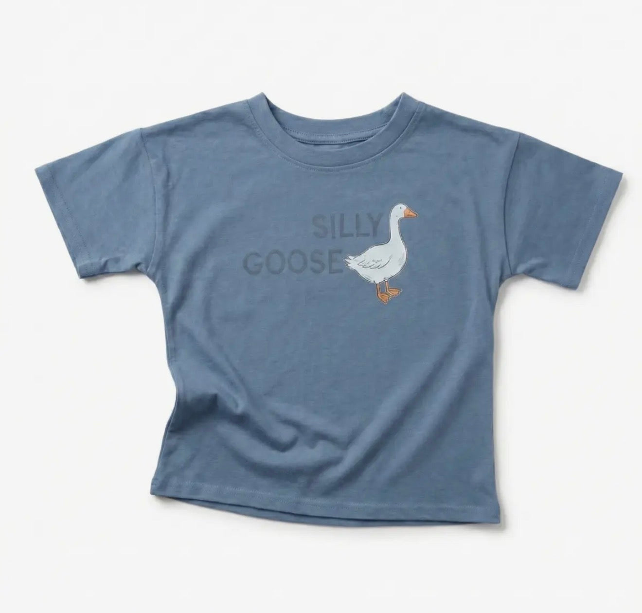 Silly Goose Tee 🪿